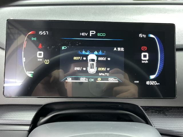 BYD Sea Lion 05 DM-i 2025 car image #9