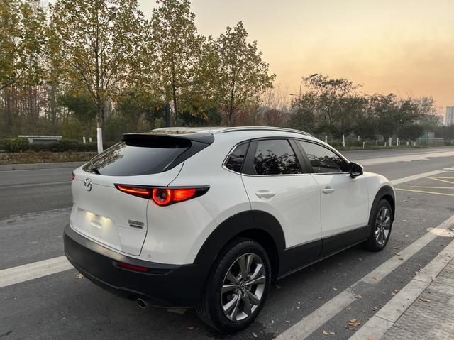 Mazda CX-30 EV 2021 image de voiture #9