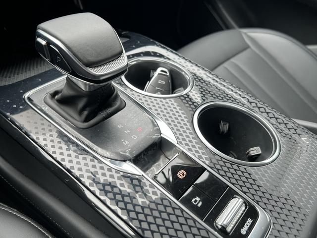 HongQi ShengShi 2023 #9 HongQi ShengShi 2023 car image #9