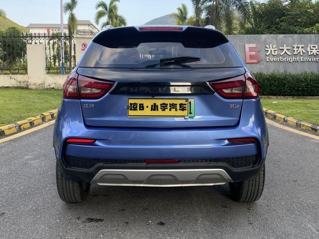 睿蓝汽车 枫叶30X 2020 汽车图片 #9