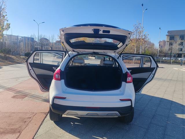 Livan Maple 30X 2021 изображение автомобиля #9