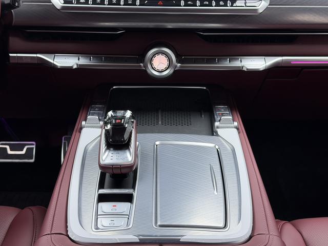 Tank 700 New Energy 2025 immagine di auto #9