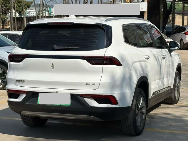 睿蓝汽车 睿蓝9 2024 汽车图片 #9