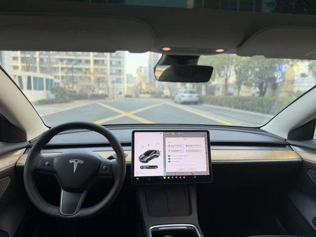 Tesla Model 3 2020 car image #9