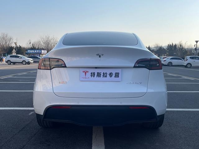 Tesla Model Y 2023 #9 Tesla Model Y 2023 car image #9