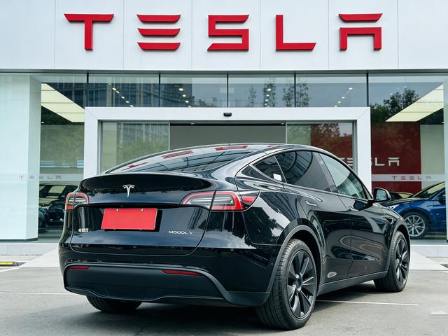 Tesla Model Y 2023 car image #9