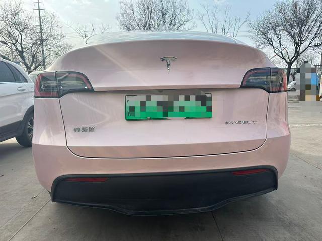 Tesla Model Y 2023 car image #9
