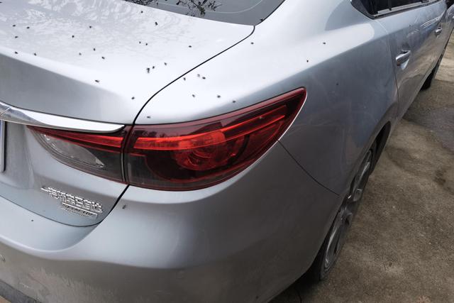 马自达 阿特兹 2017 汽车图片 #9