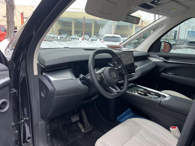 极氪 极氪009 2024 汽车图片 #9