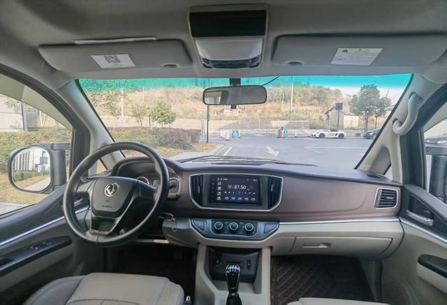 Forthing Lingzhi 2019 immagine di auto #9