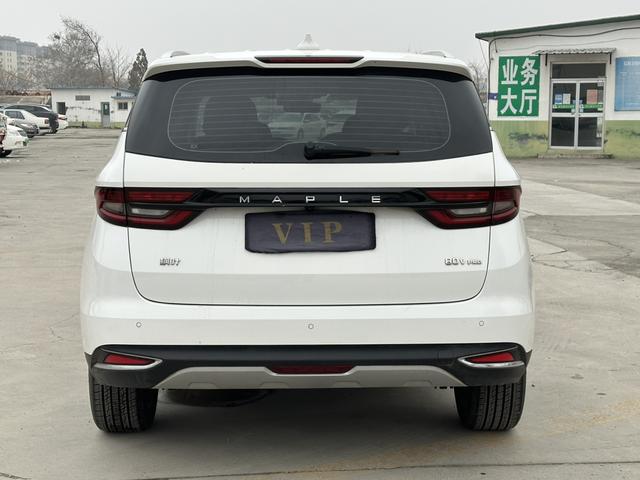 睿蓝汽车 枫叶80v PRO 2024 汽车图片 #9