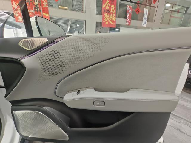 极氪 极氪007 2023 汽车图片 #9