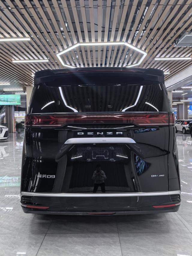 Denza D9 2023 imagen de coche #9