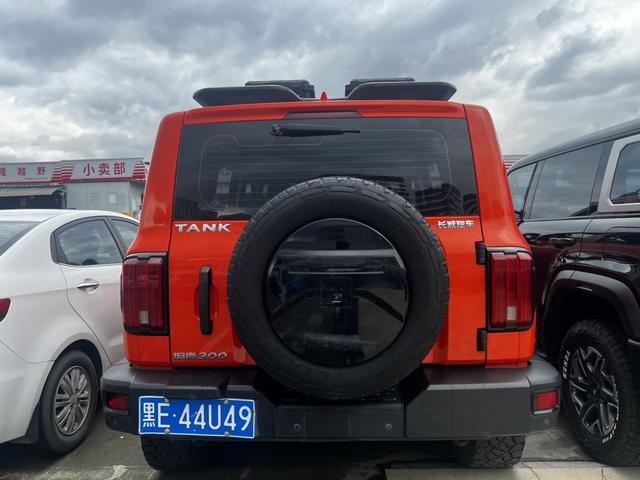 Tank 300 2023 immagine di auto #9