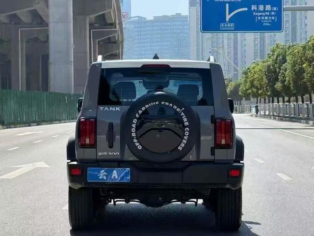 Tank 300 2022 immagine di auto #9