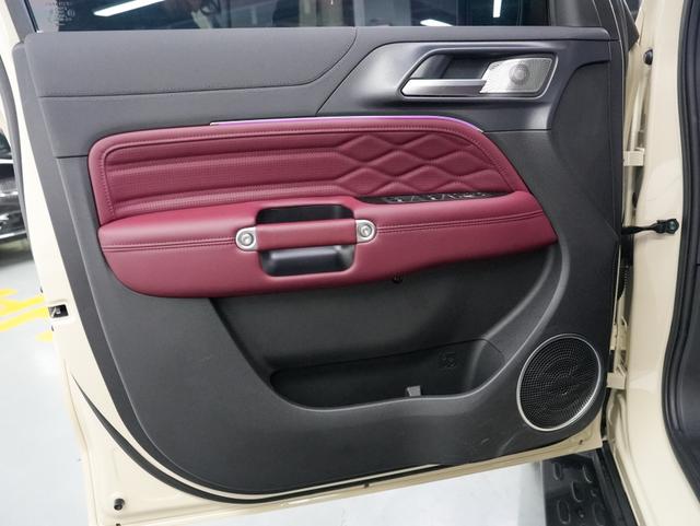 Tank 300 2025 immagine di auto #9