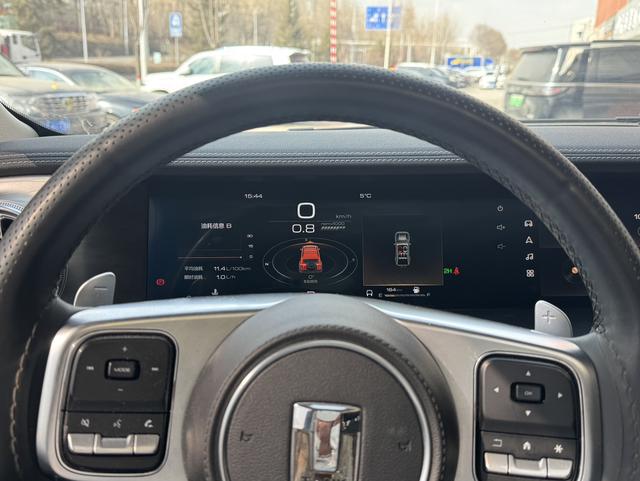 Tank 300 2023 car image #9