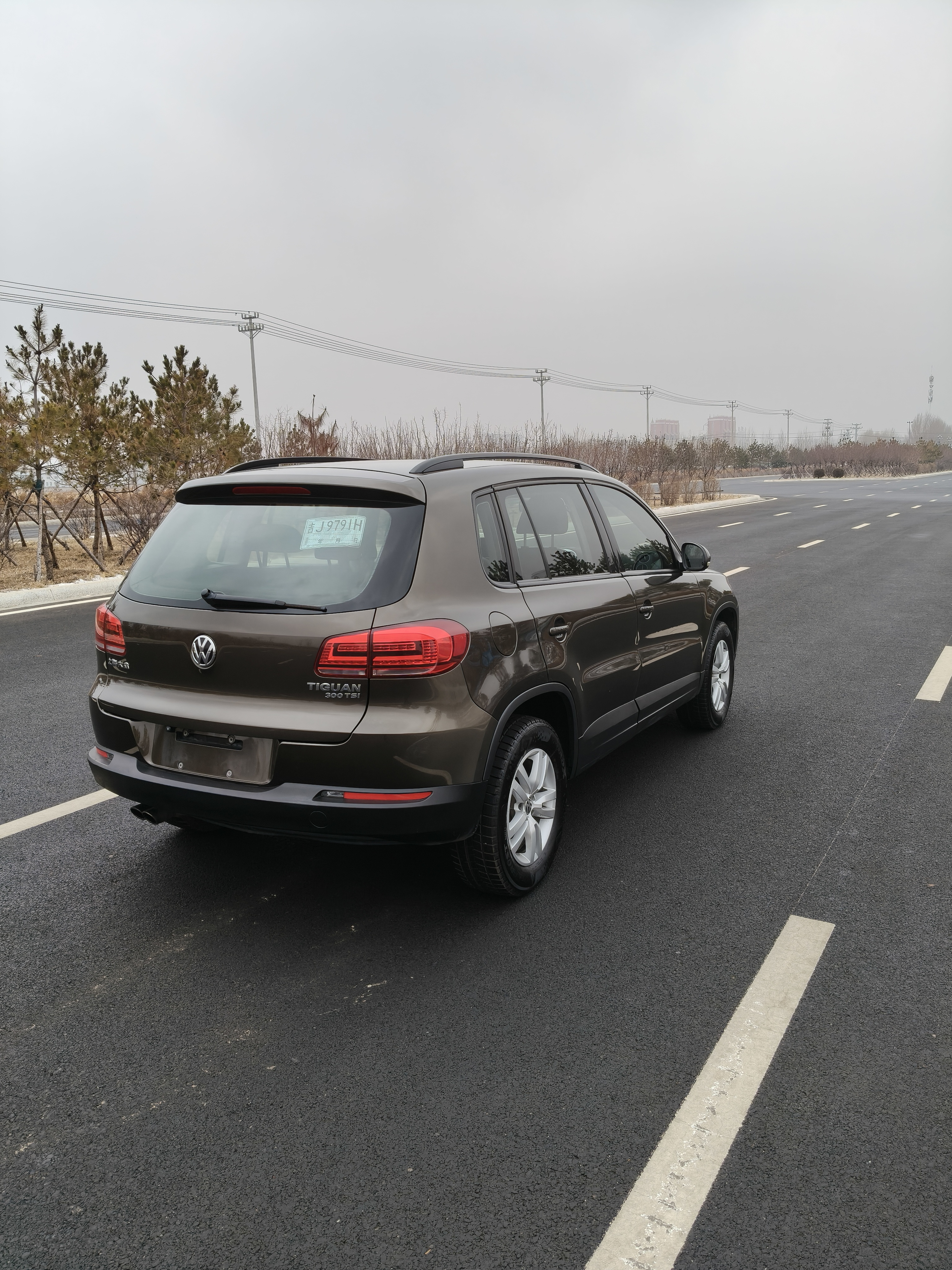 Volkswagen Tiguan 2016 immagine di auto #9
