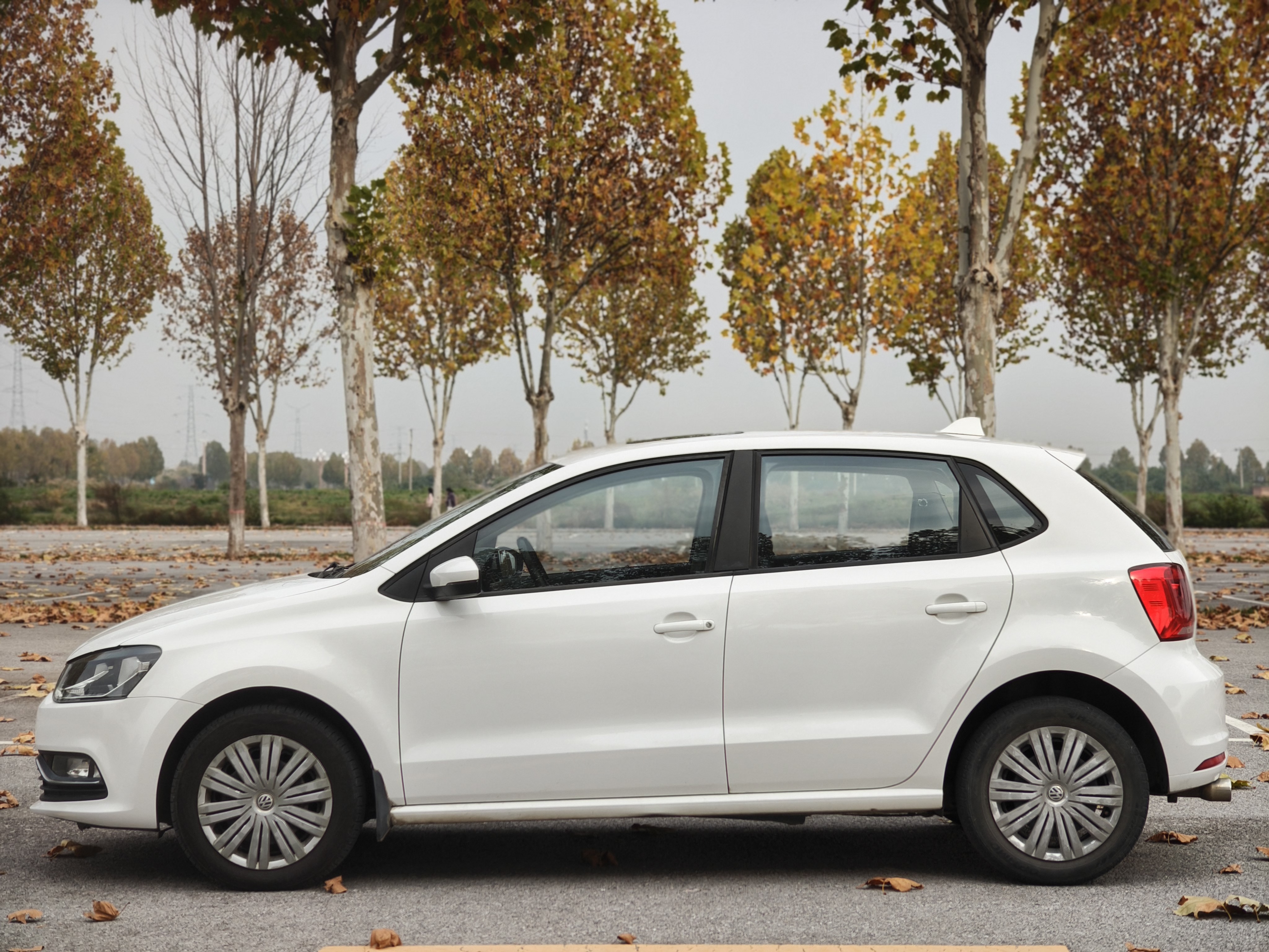 大众 Polo 2017 汽车图片 #9