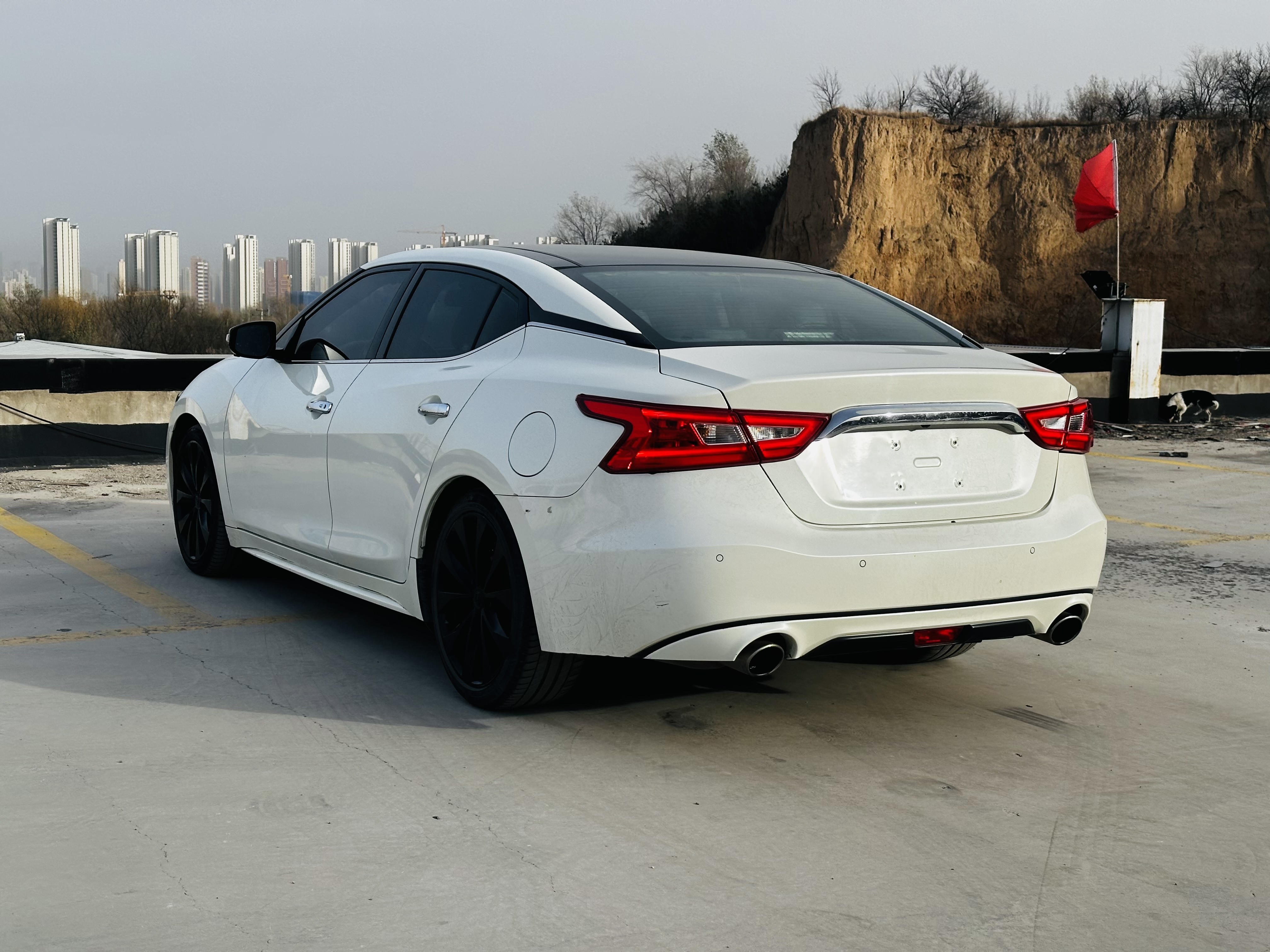 日产 西玛 2016 汽车图片 #9