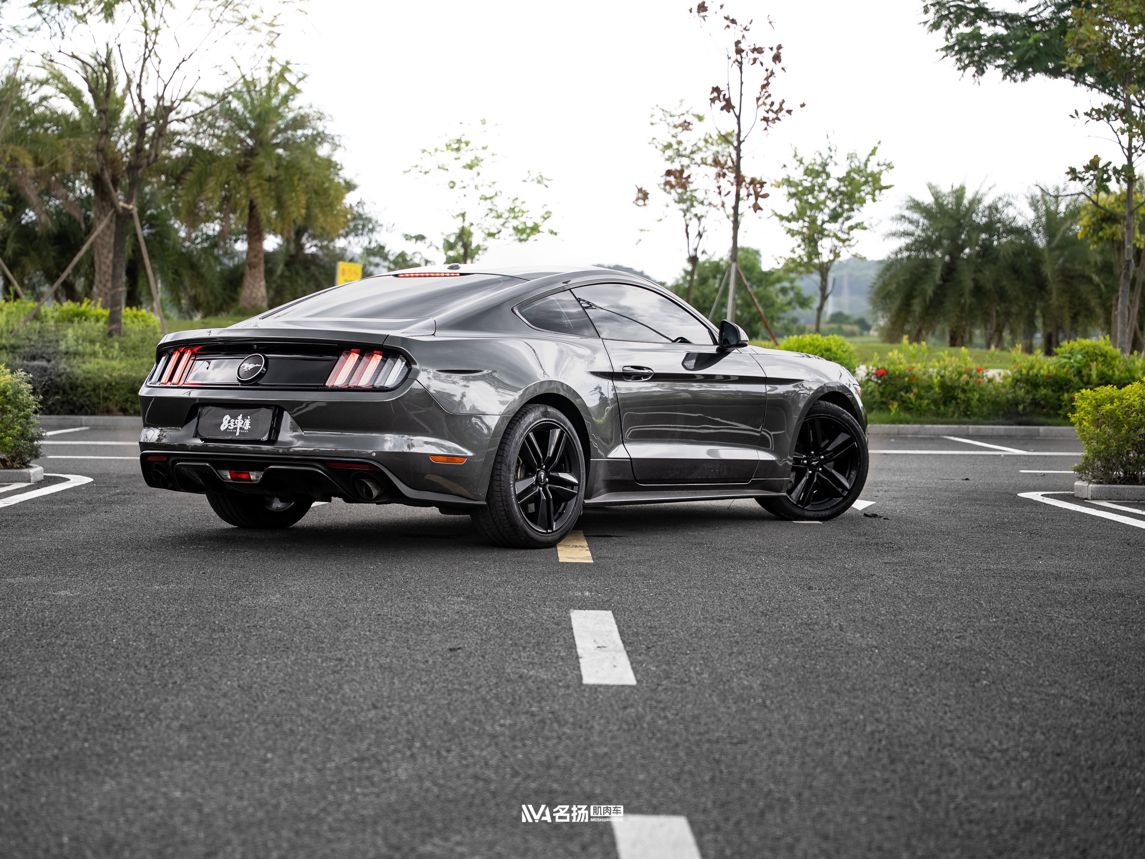 Ford Mustang 2017 #9 Ford Mustang 2017 car image #9