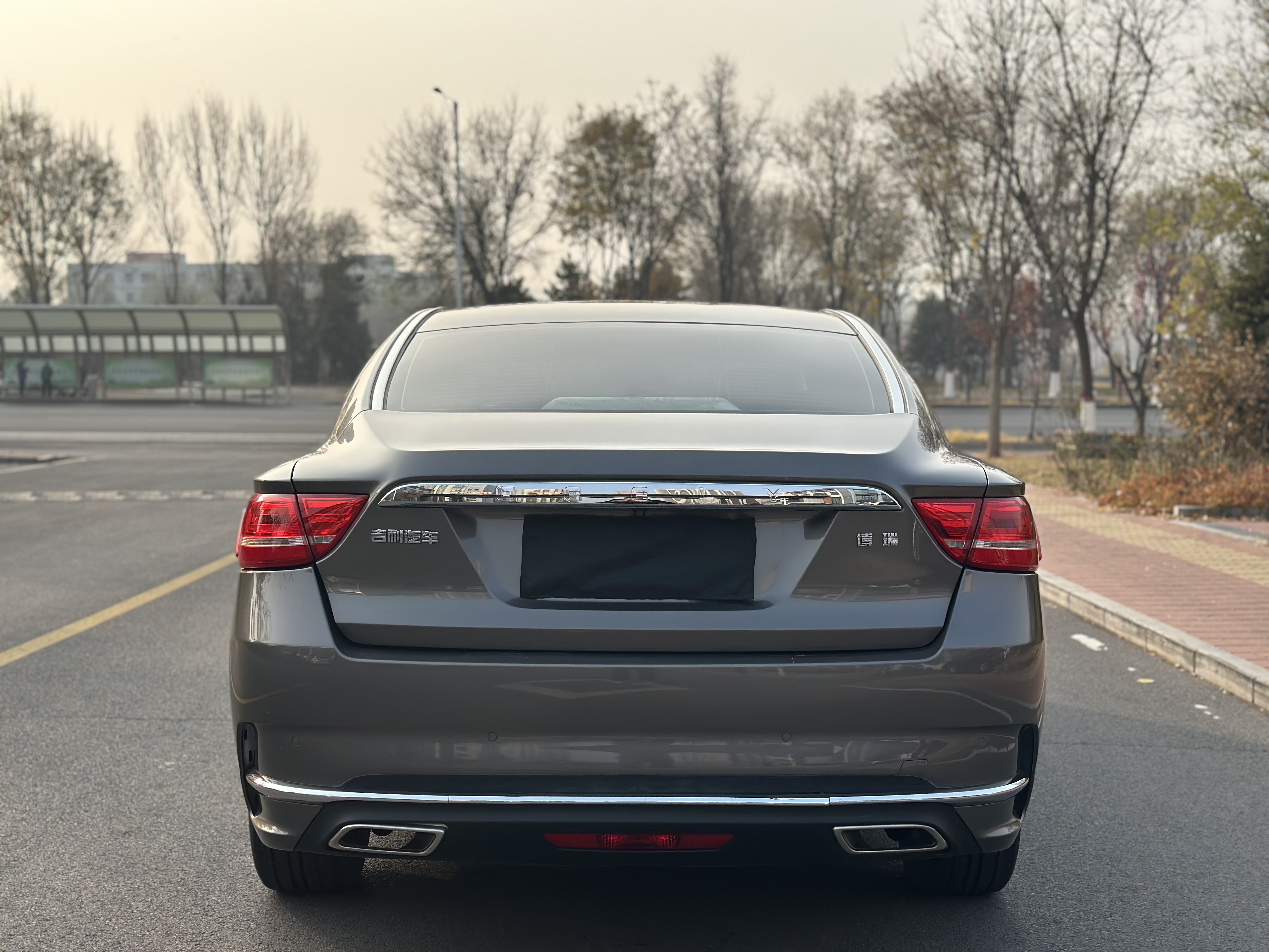 GEELY Ulion 2017 immagine di auto #9