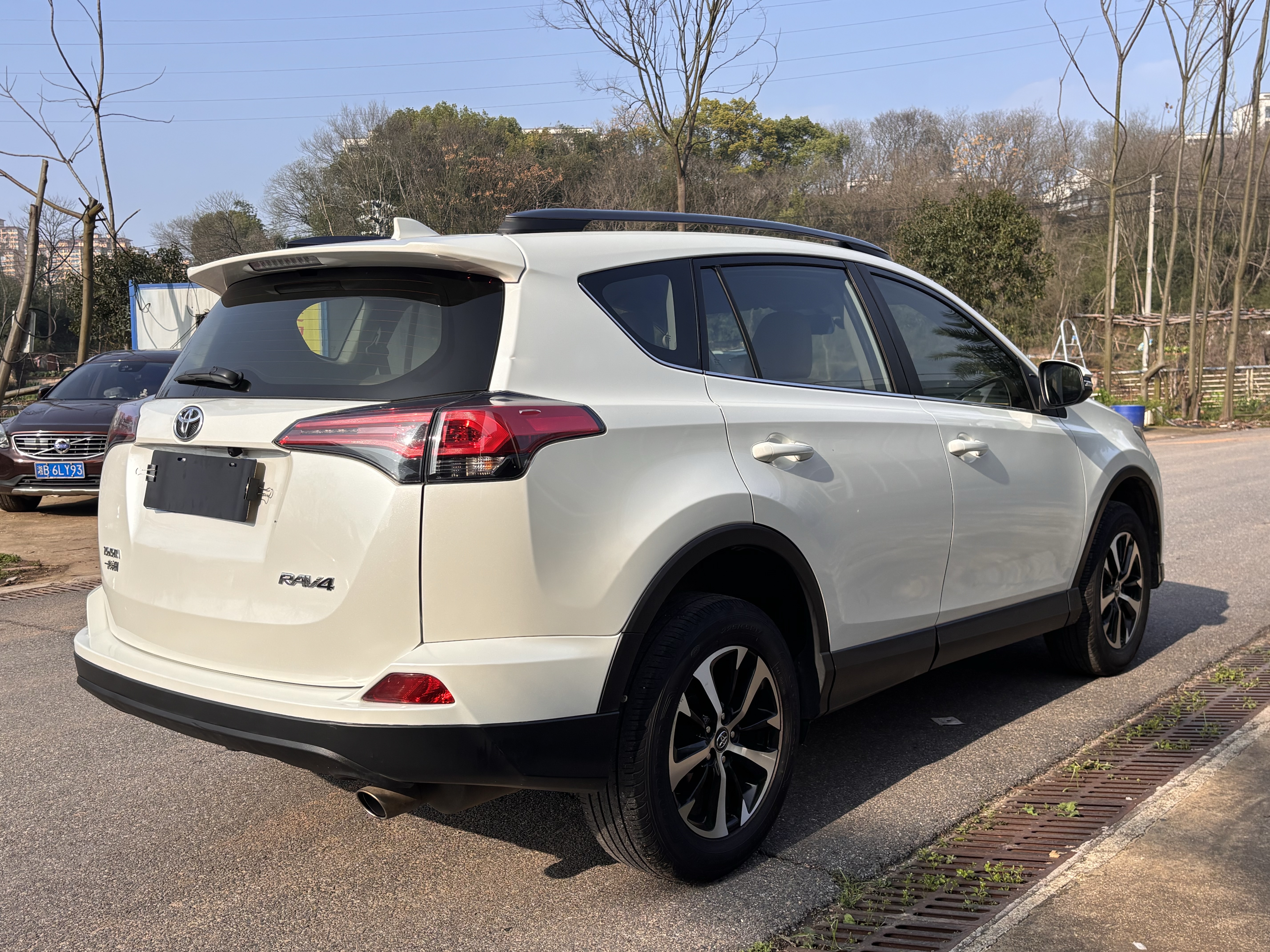 Toyota RAV4 2018 car image #9