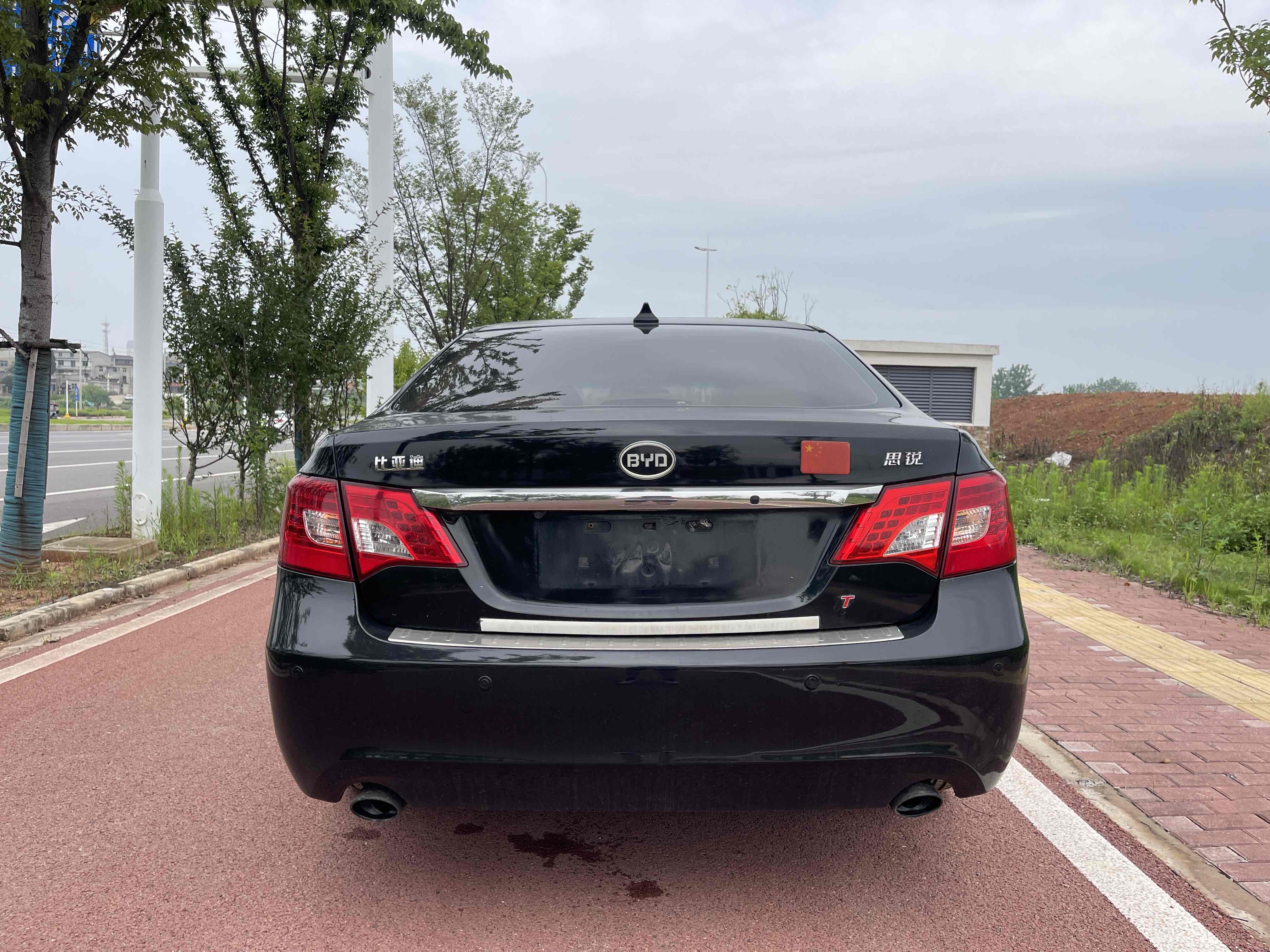 BYD SiRui 2013 immagine di auto #9