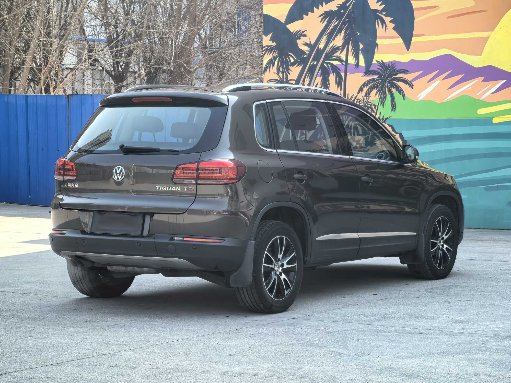 Volkswagen Tiguan 2013 car image #9