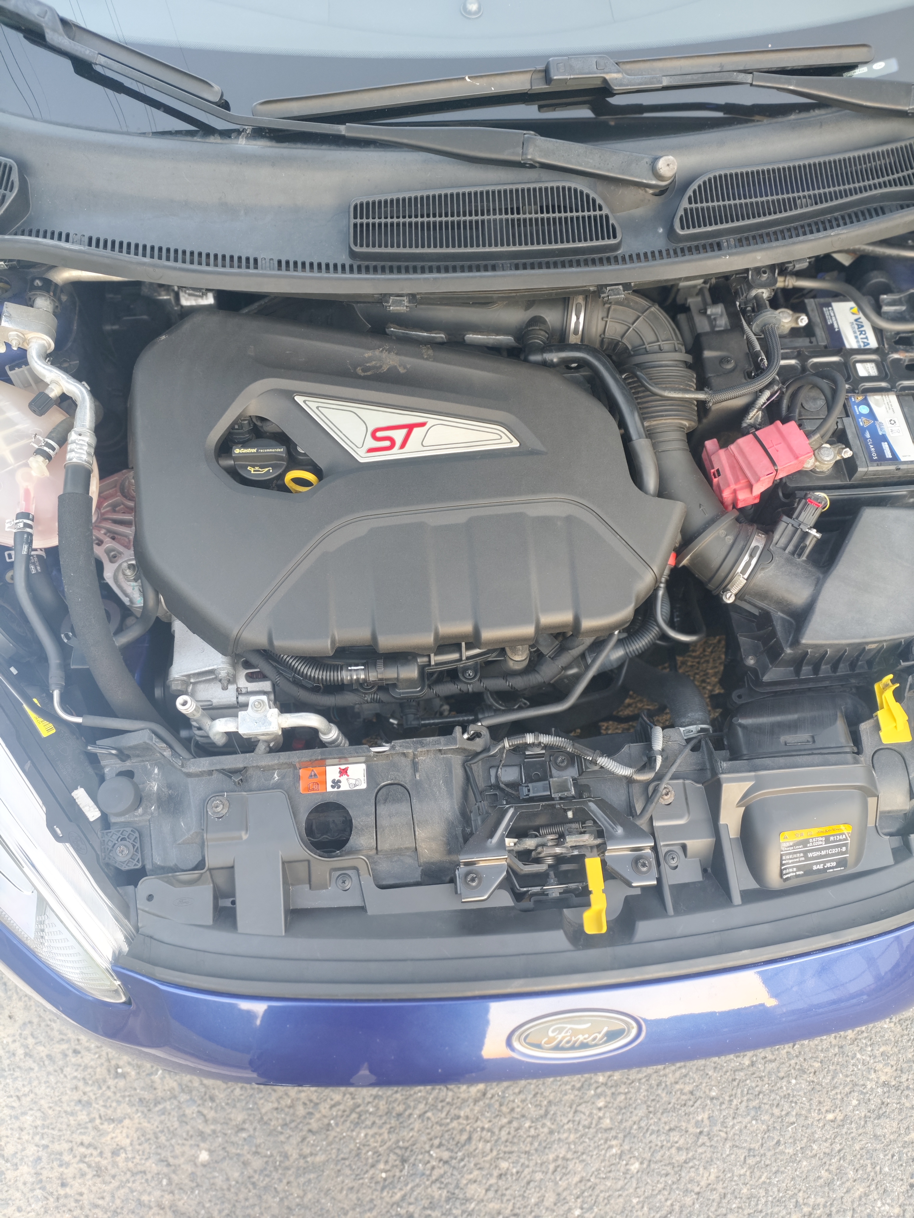 Ford Fiesta (Imported) 2016 #9 Ford Fiesta (Imported) 2016 car image #9