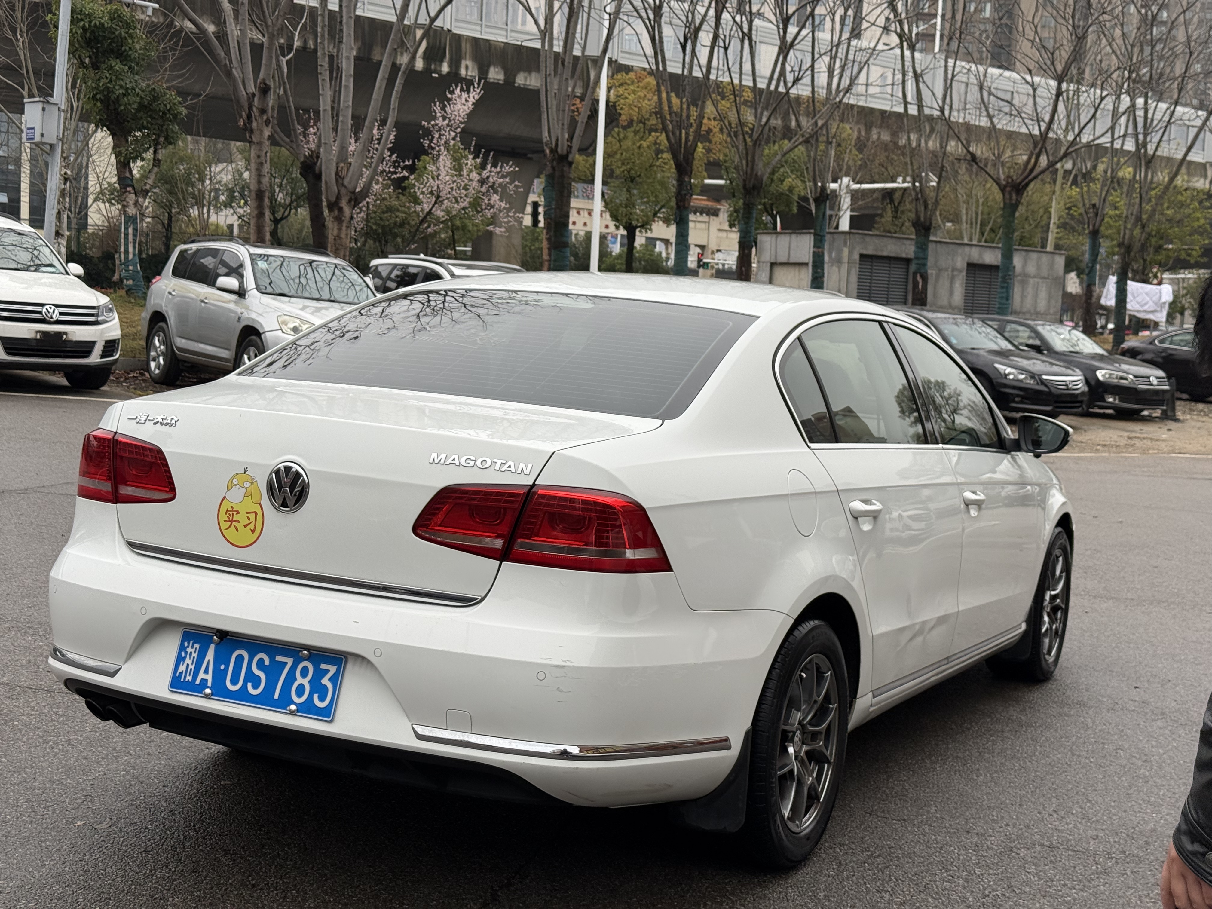 Volkswagen Magotan 2014 car image #9