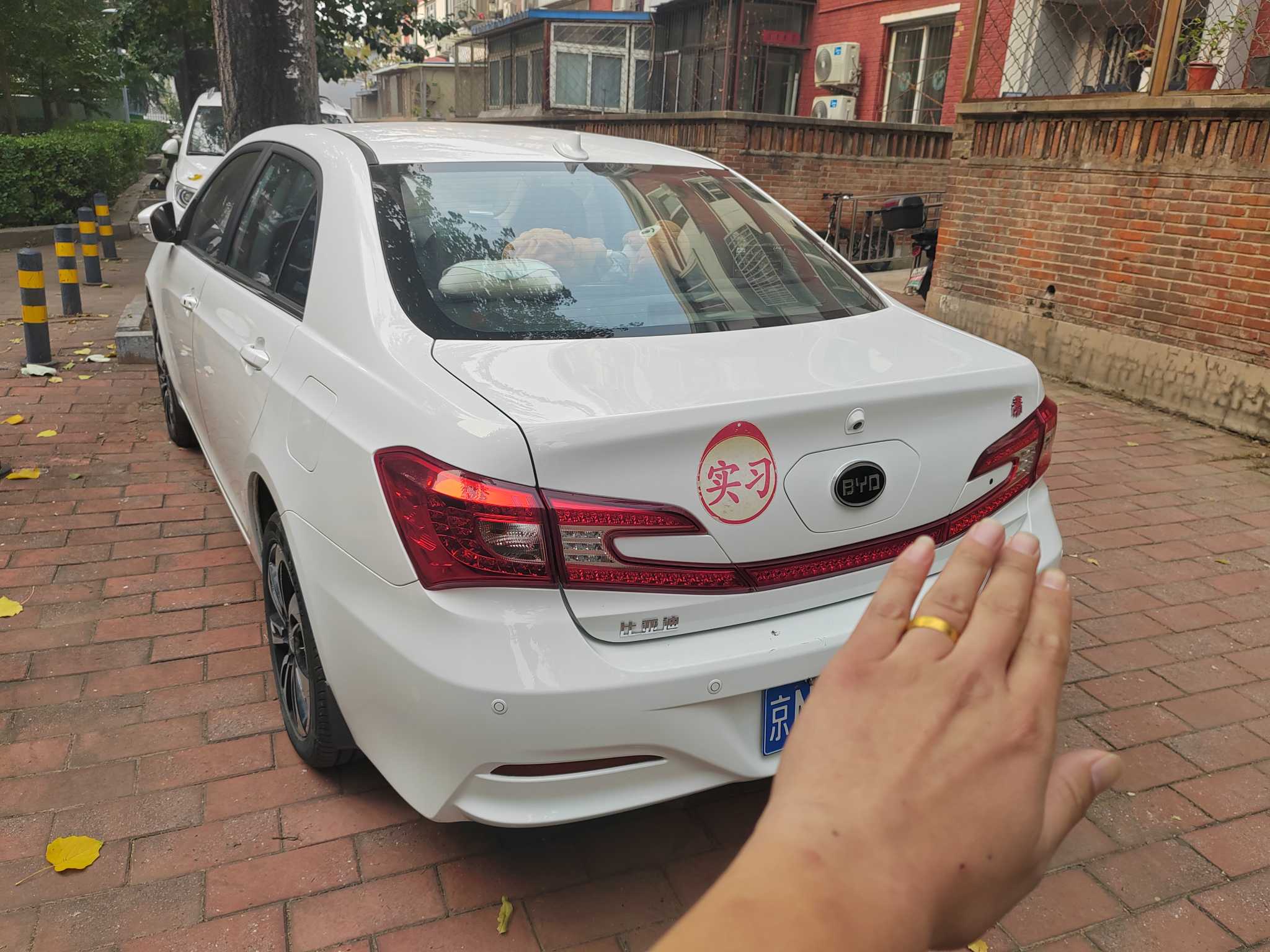 BYD Qin New Energy 2016 car image #9