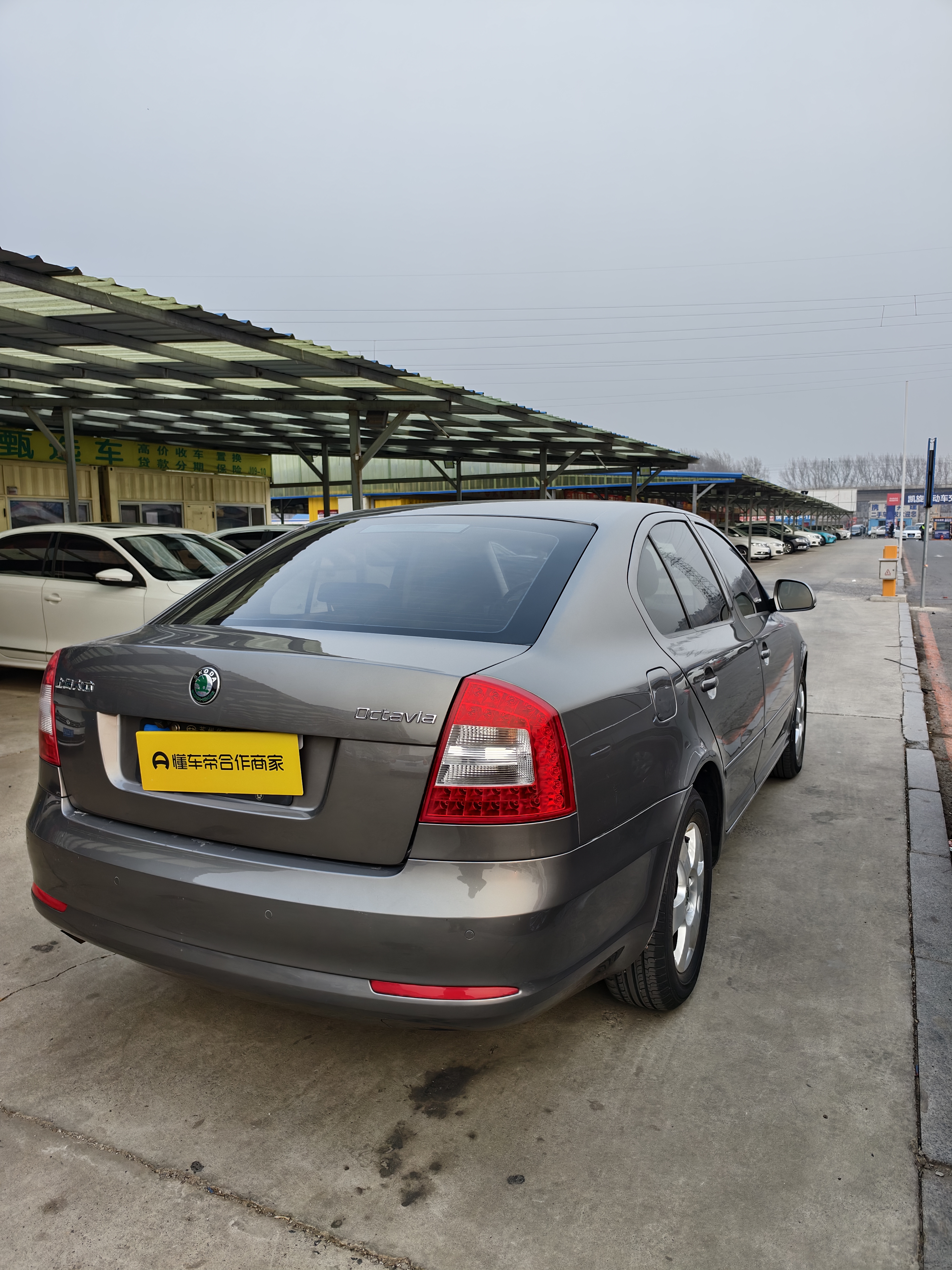 Skoda Octavia 2013 car image #9