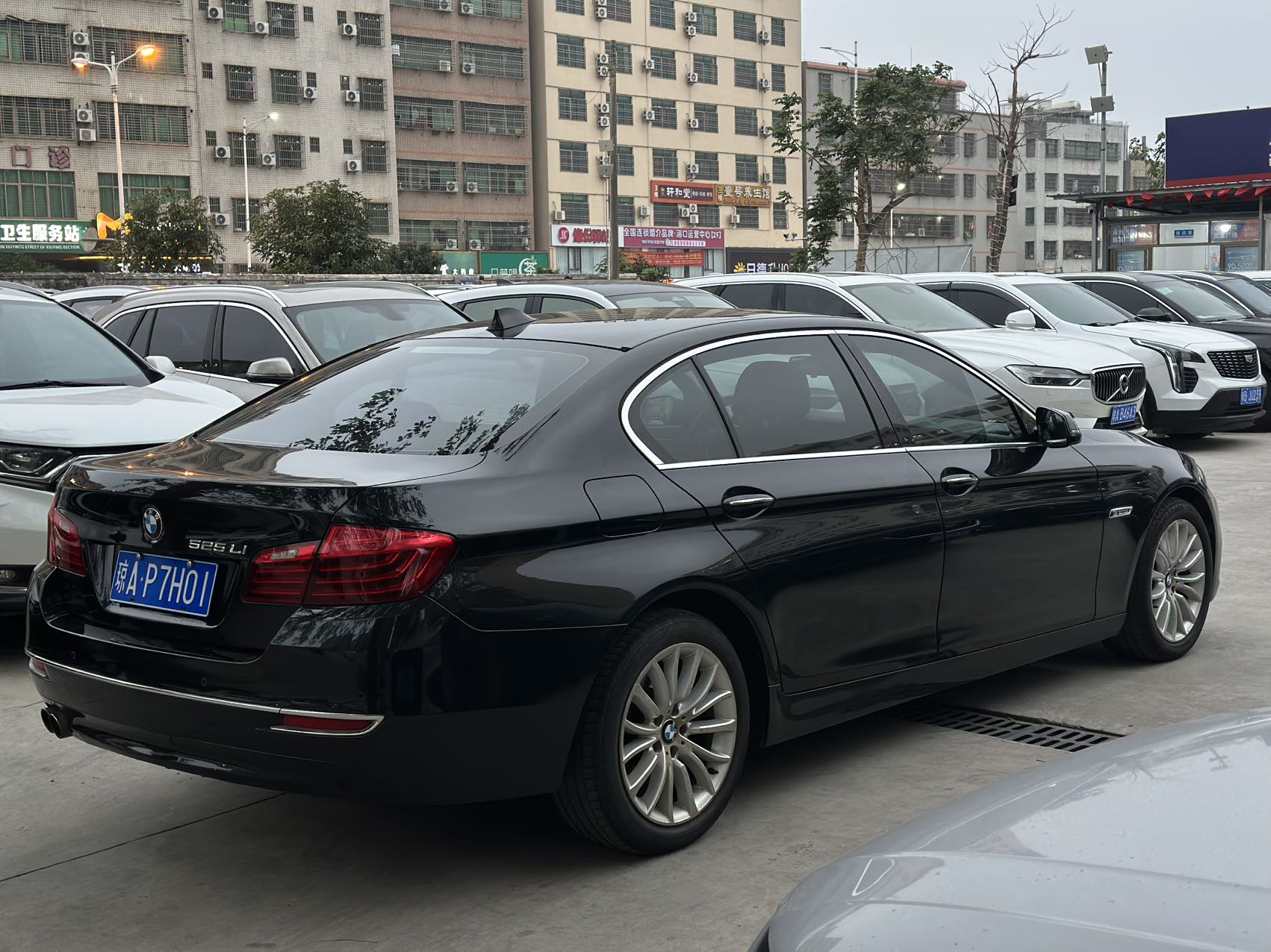 BMW 5 Series 2014 #9 BMW 5 Series 2014 car image #9