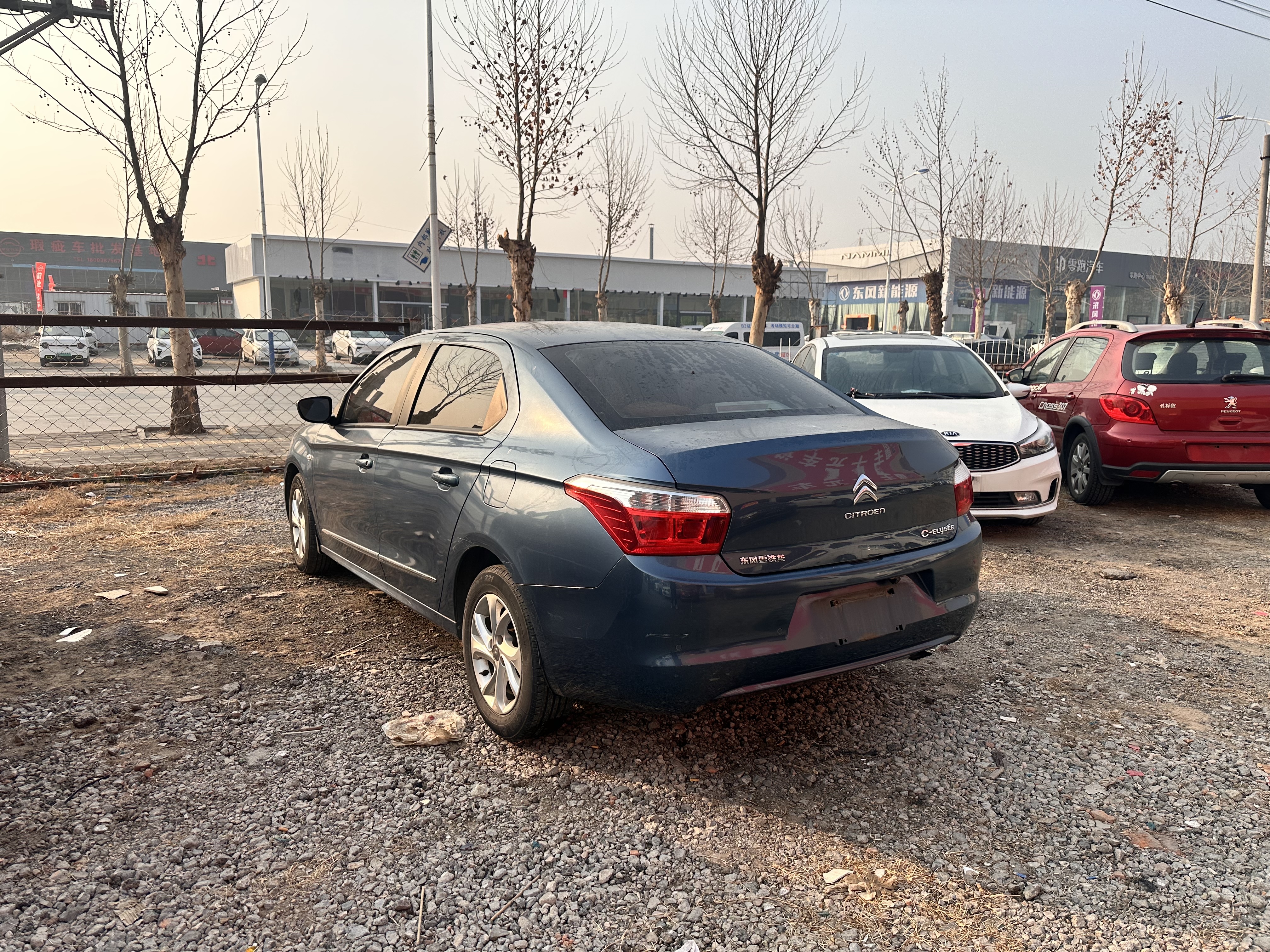 Citroen C-Elysée 2014 car image #9