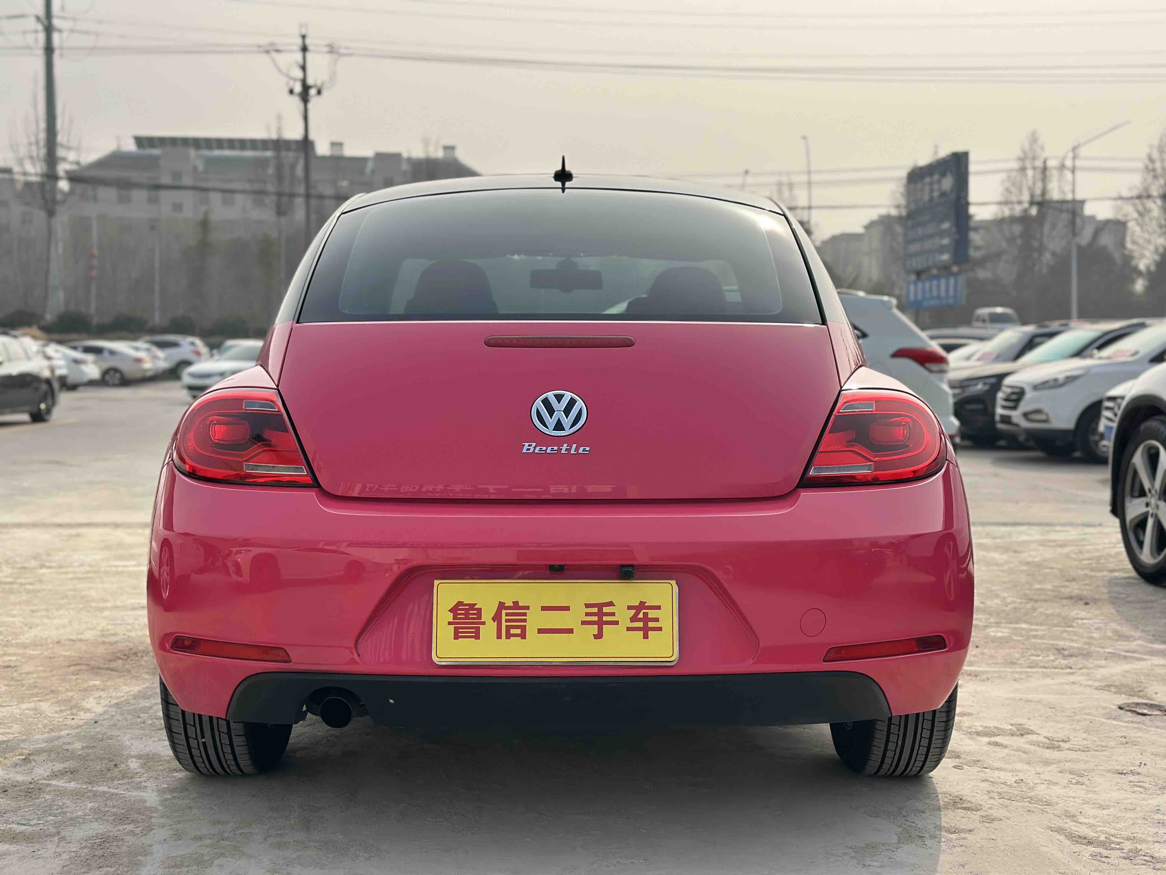 Volkswagen Beetle 2014 immagine di auto #9