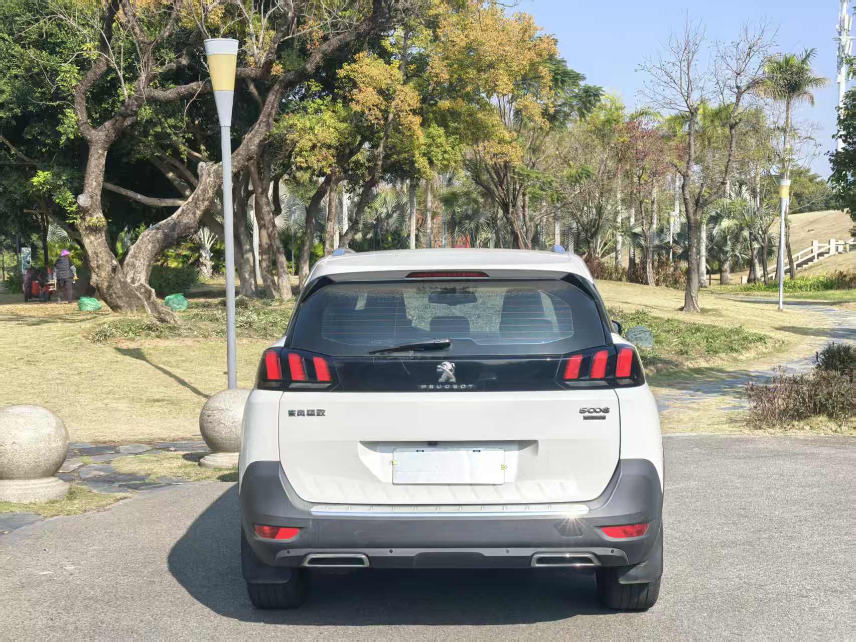 Peugeot 5008 2018 car image #9