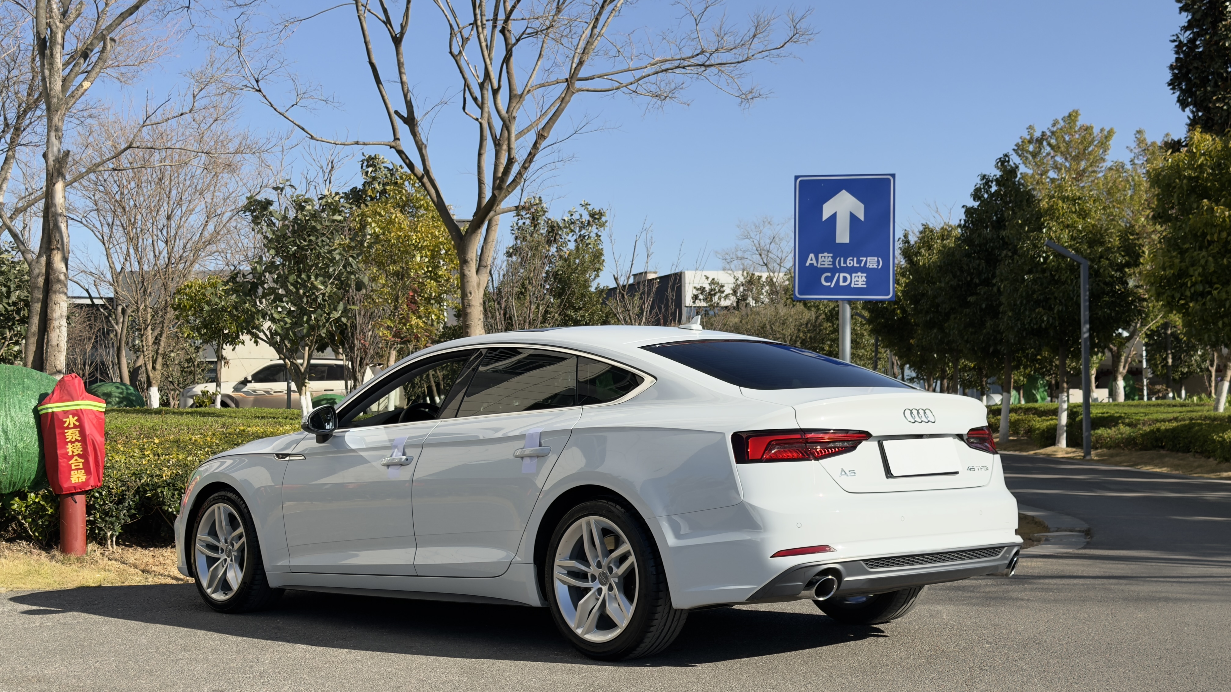 Audi A5 (Imported) 2018 car image #9