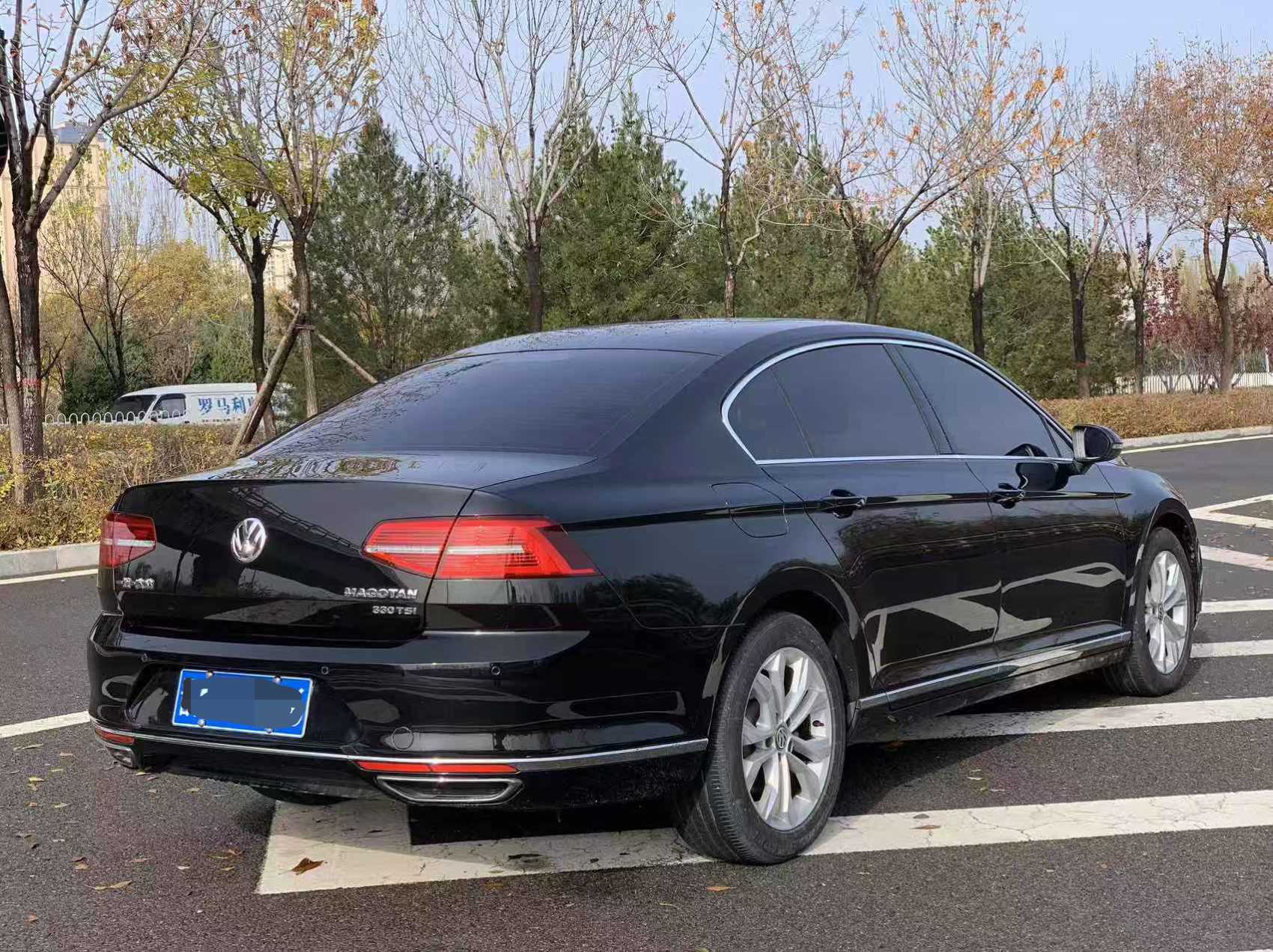 Volkswagen Magotan 2019 car image #9