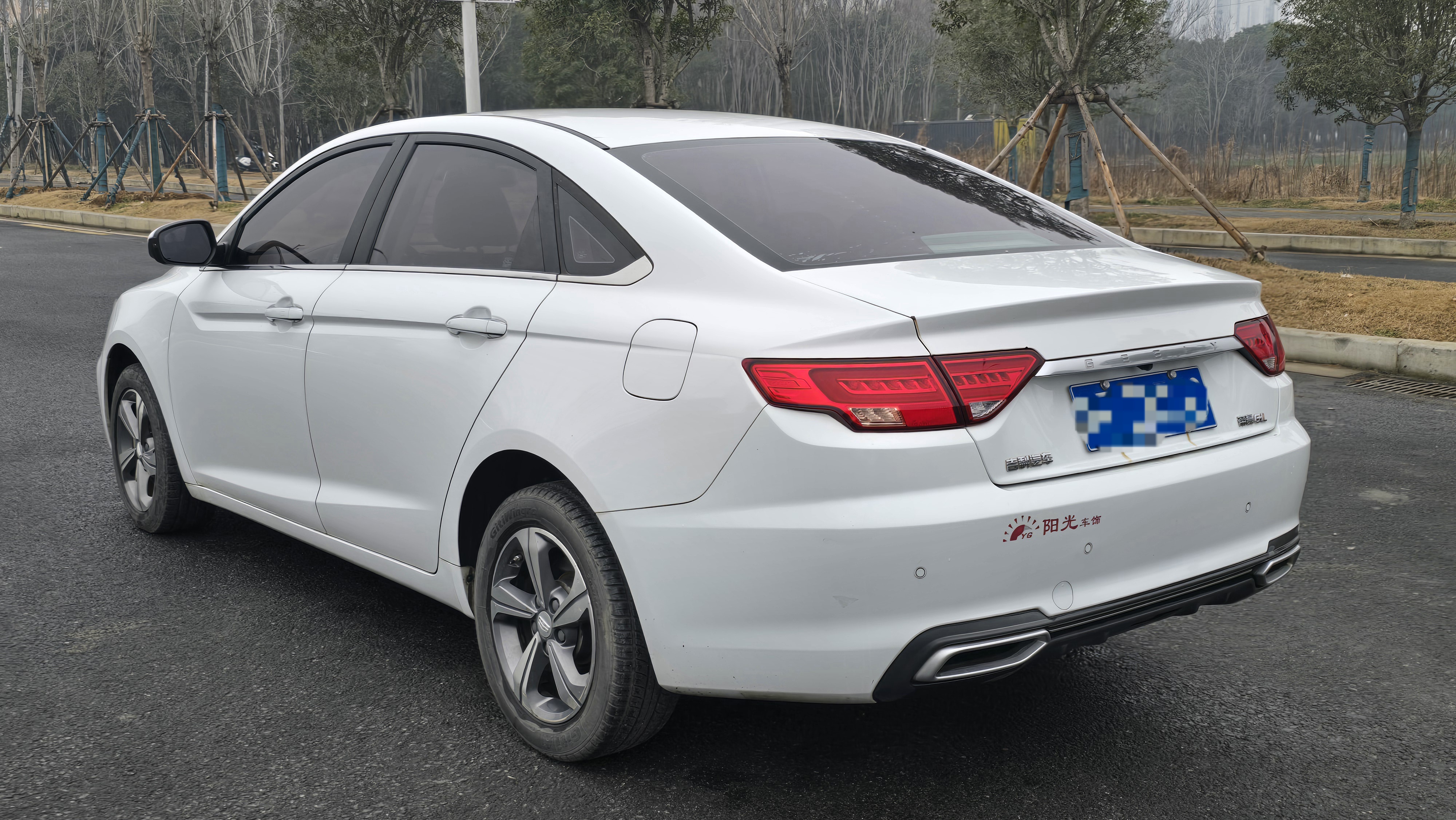 Emgrand GL 2018 #9 Emgrand GL 2018 car image #9