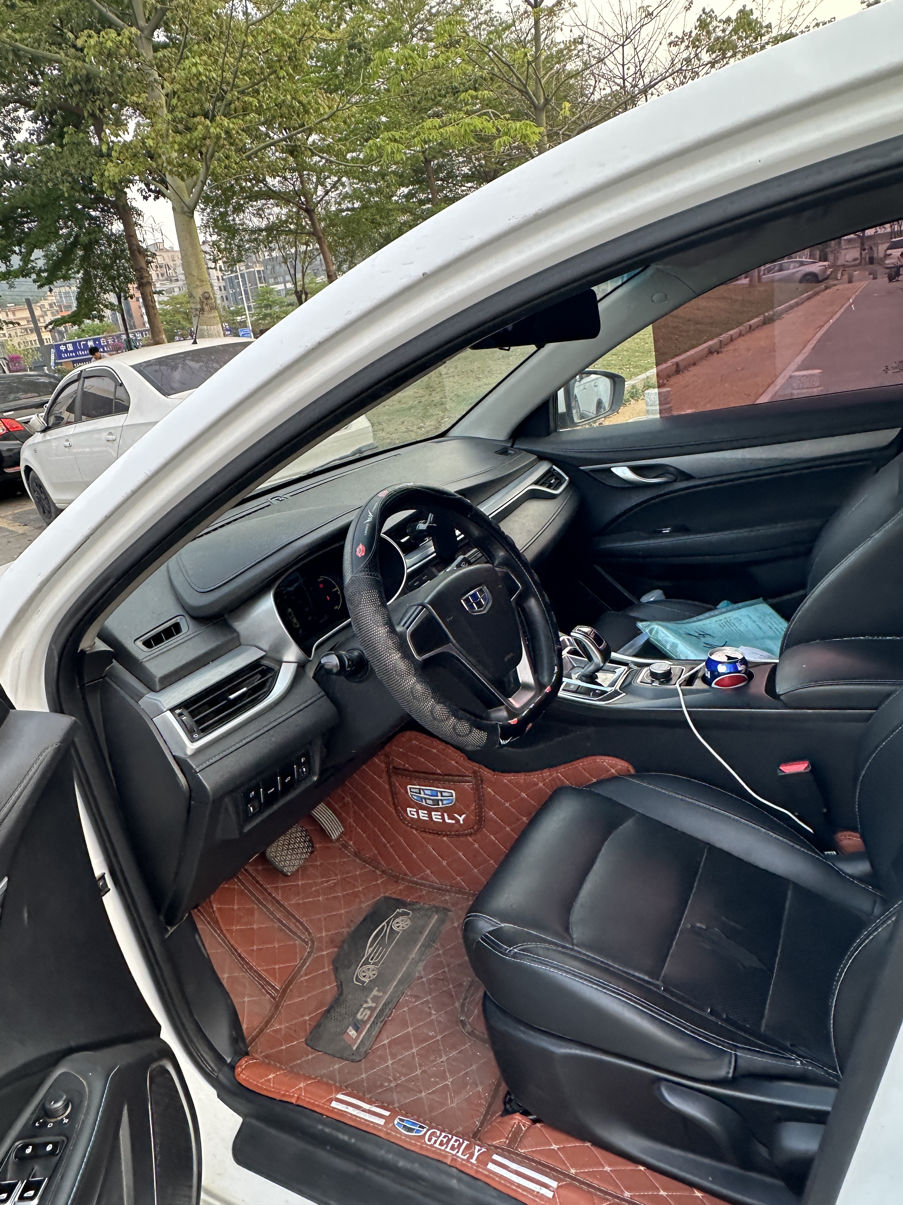 GEELY Emgrand New Energy 2018 car image #9