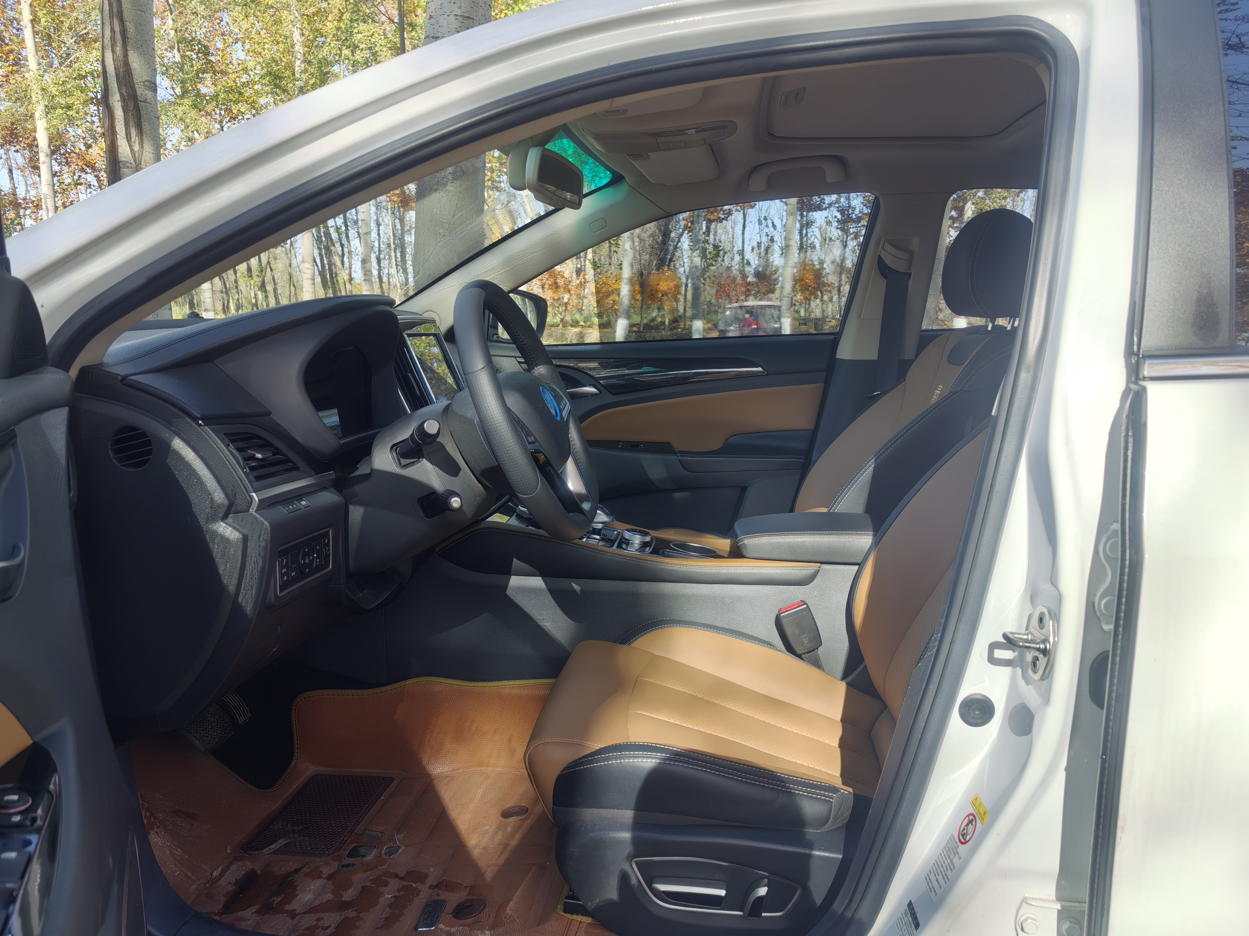 BYD Qin New Energy 2018 car image #9