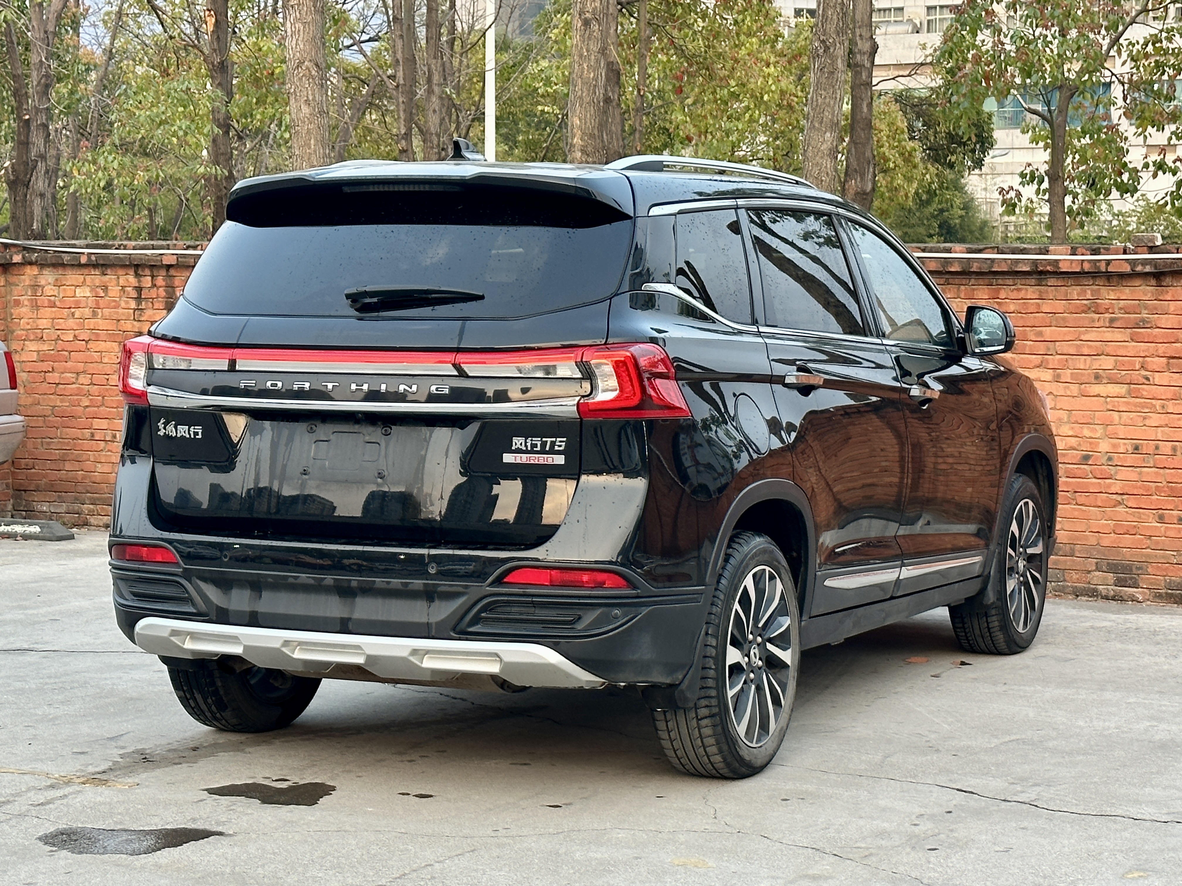 T5 2019 #9 T5 2019 car image #9