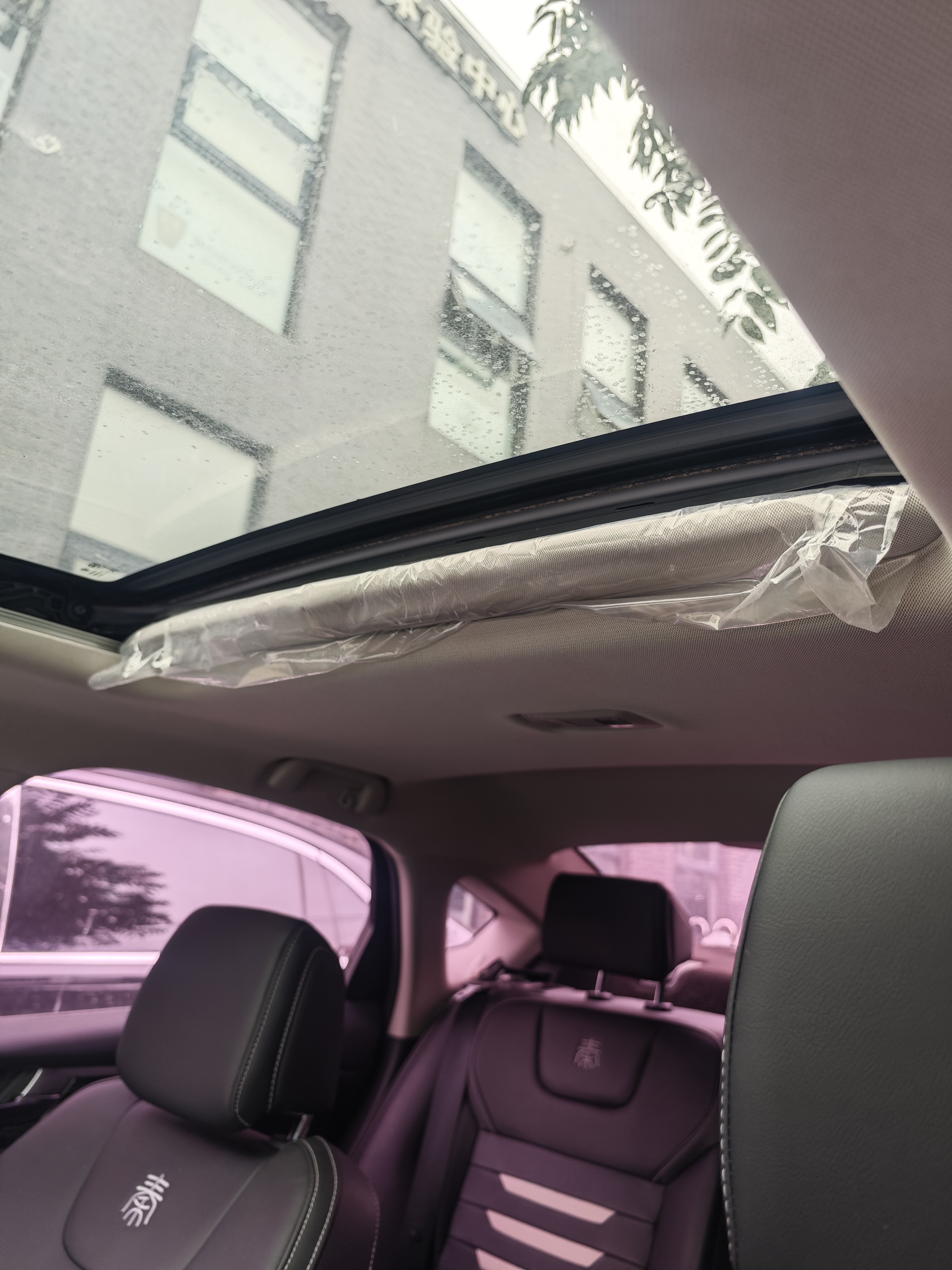 BYD Qin Pro New Energy 2019 immagine di auto #9