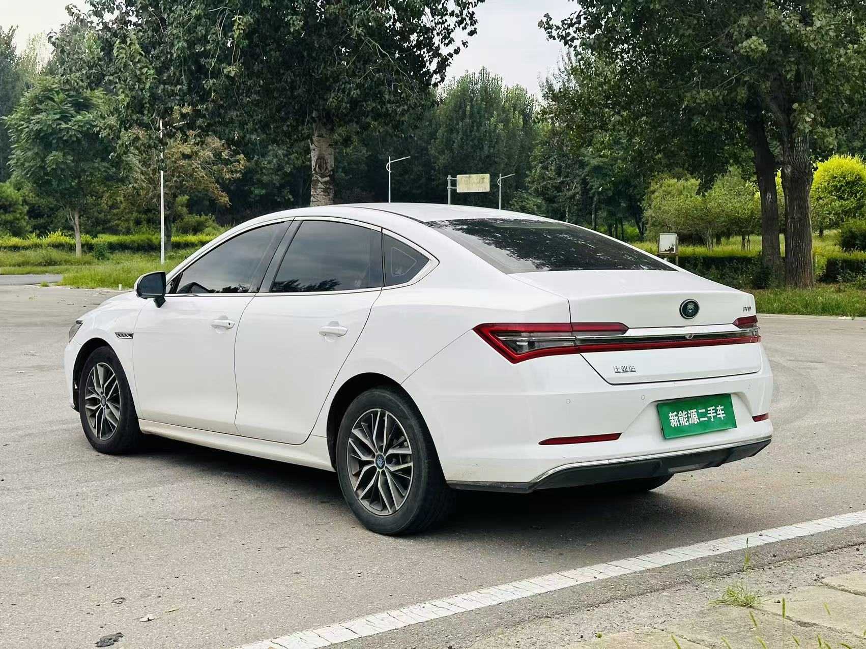 BYD Qin Pro New Energy 2019 car image #9