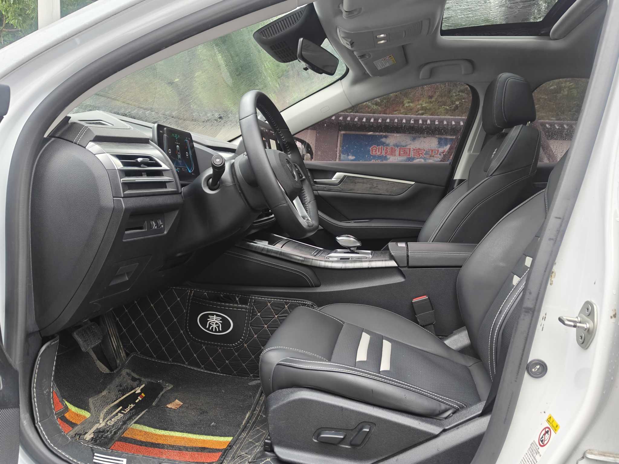 BYD Qin Pro New Energy 2019 car image #9