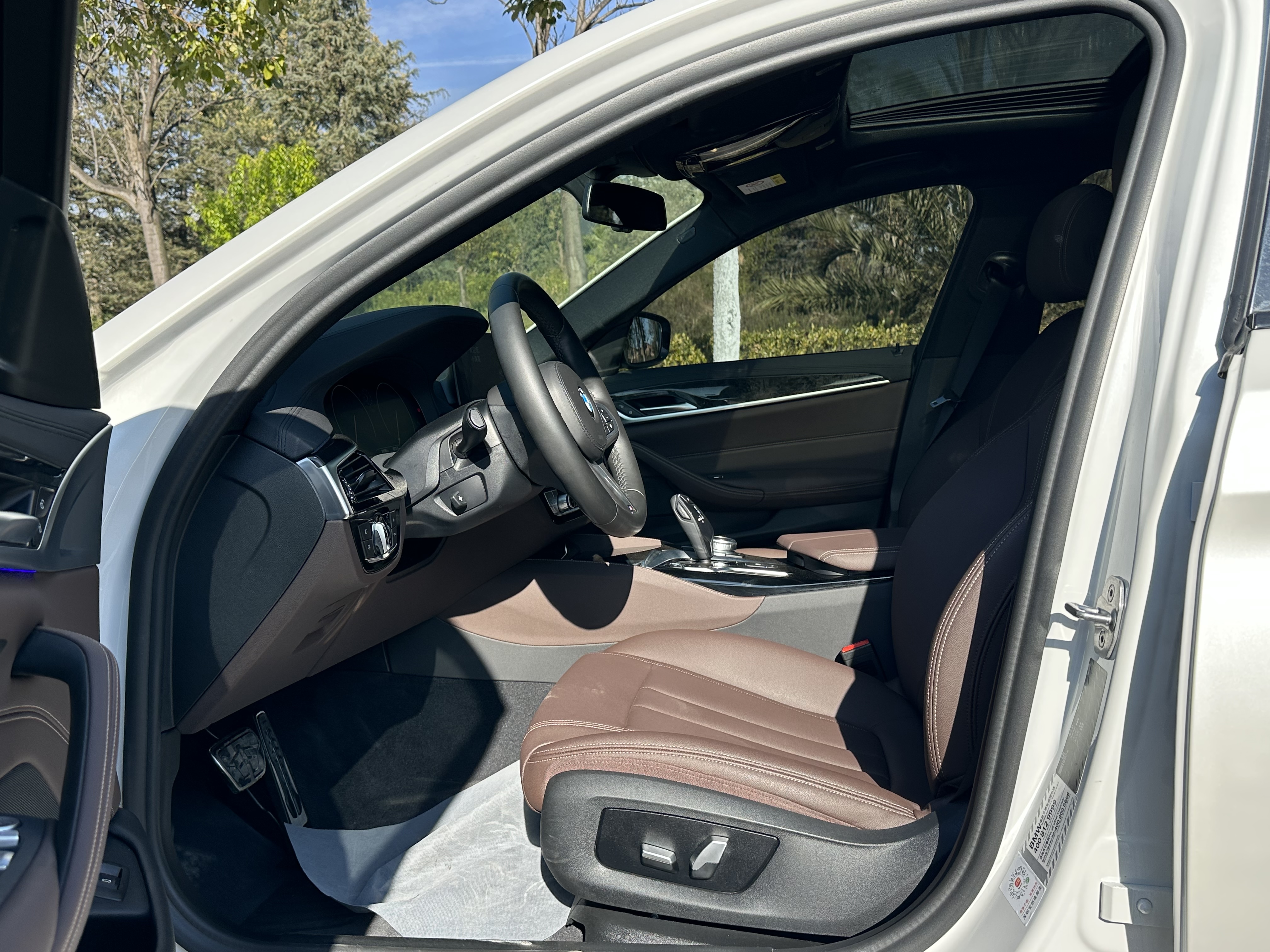 BMW 5 Series 2019 car image #9