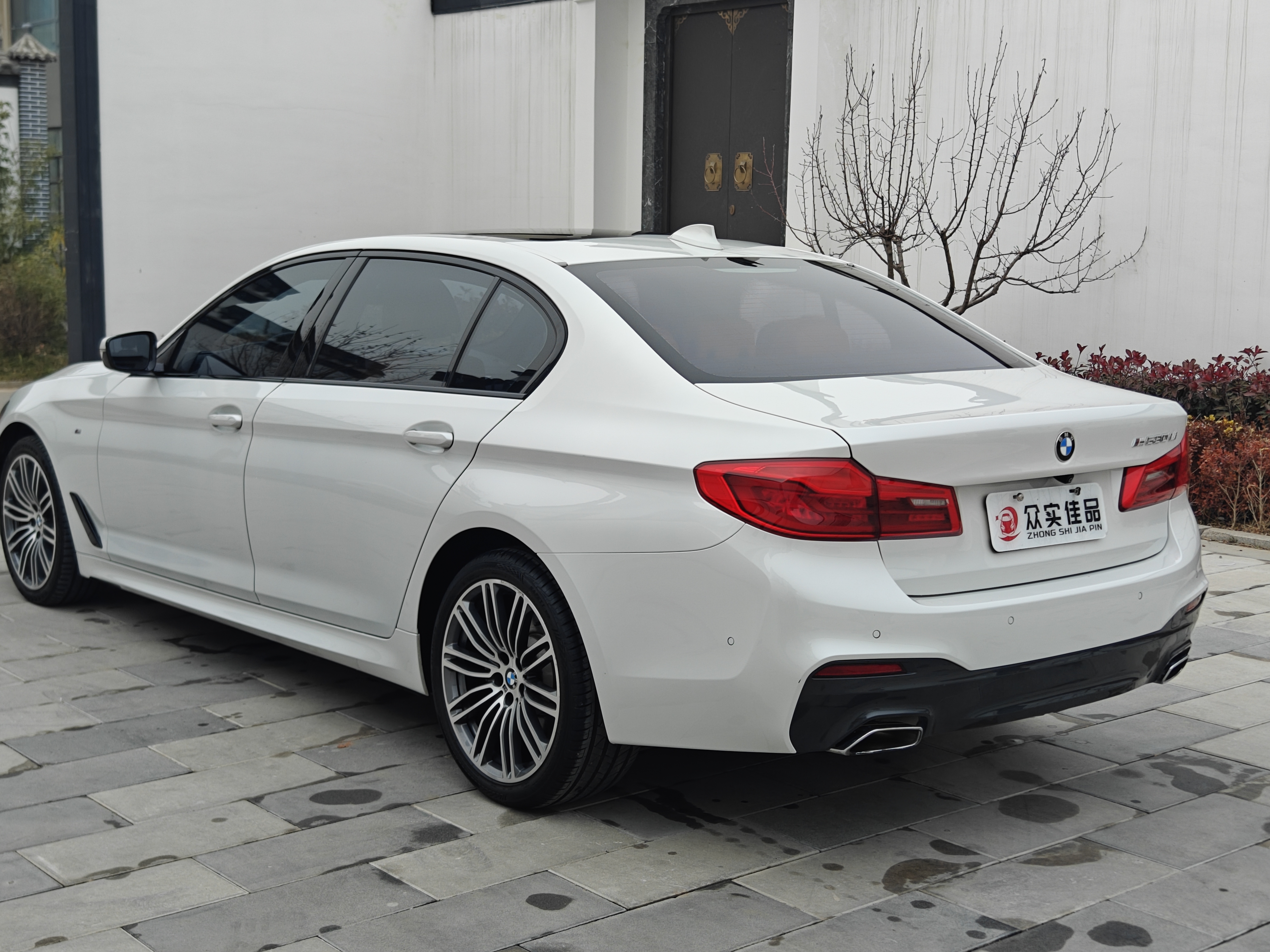 BMW 5 Series 2019 car image #9