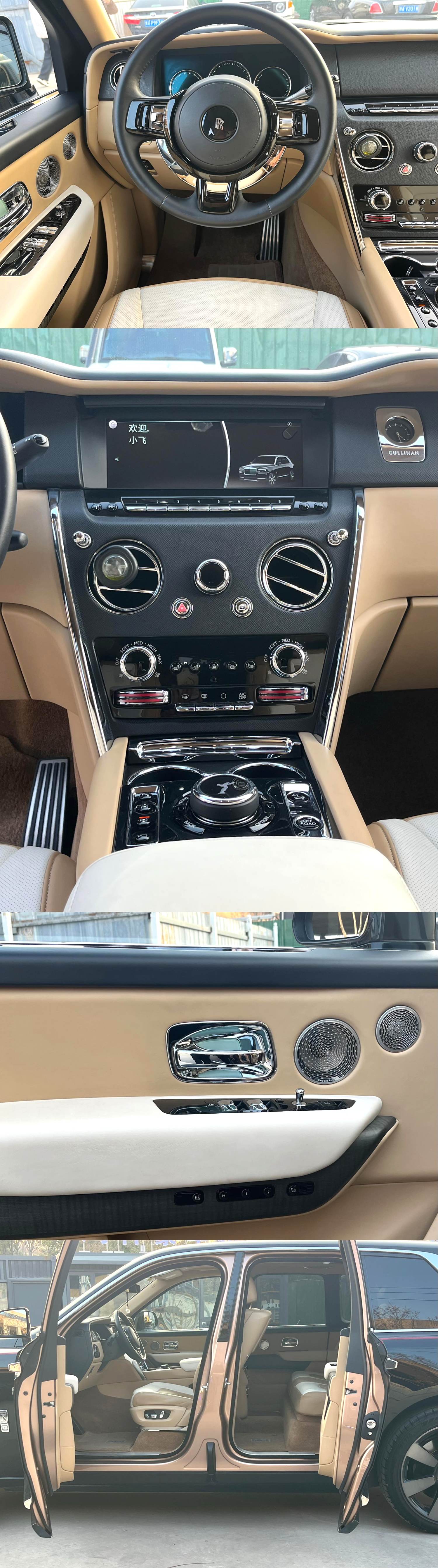 Volkswagen Cullinan 2019 car image #9