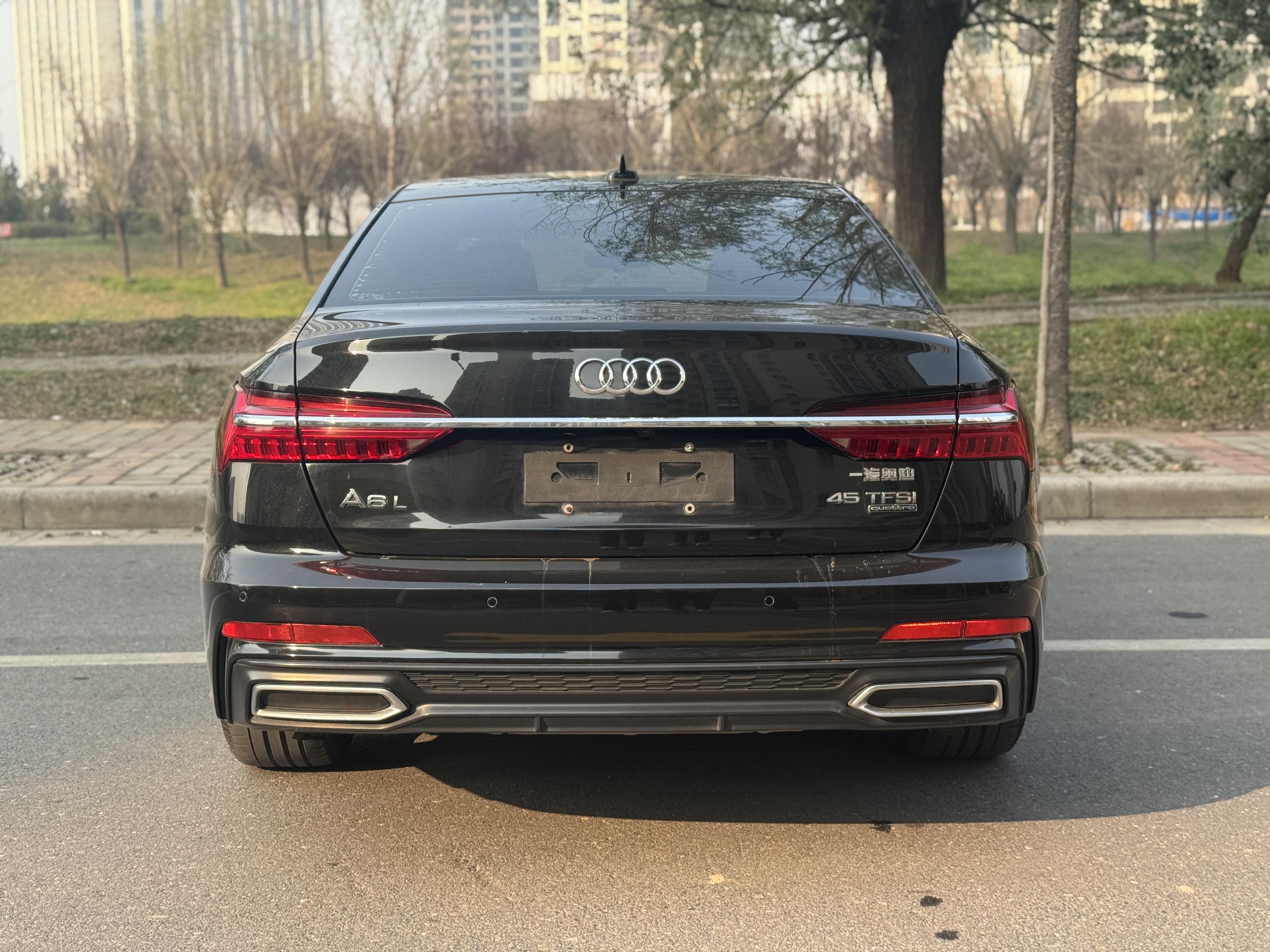 奥迪 奥迪A6L 2019 汽车图片 #9